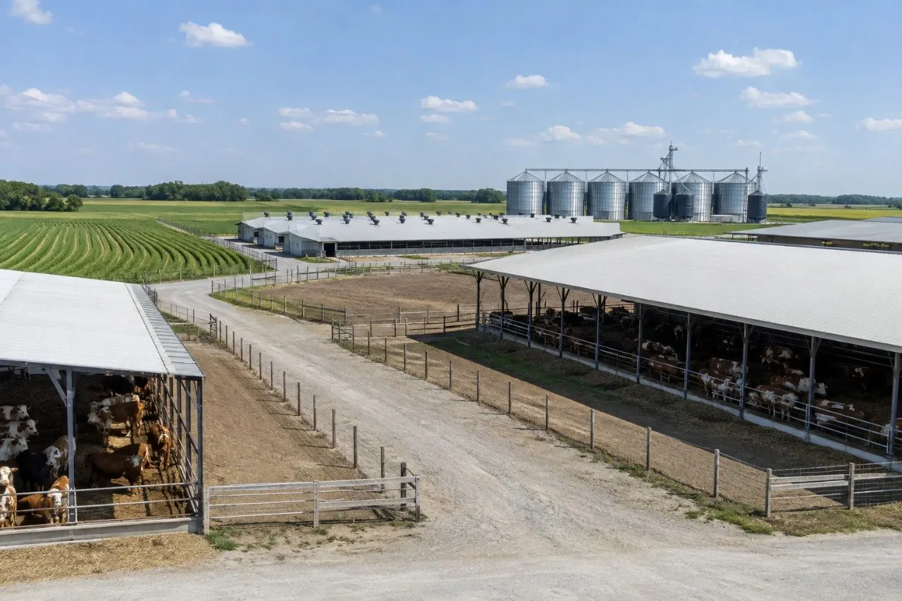Aplicación de productos VF Chemical en el sector agropecuario